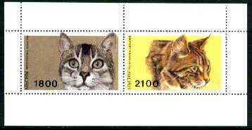 Abkhazia 1996 Cats sheetlet containing complete set of 2 values unmounted mint, stamps on cats
