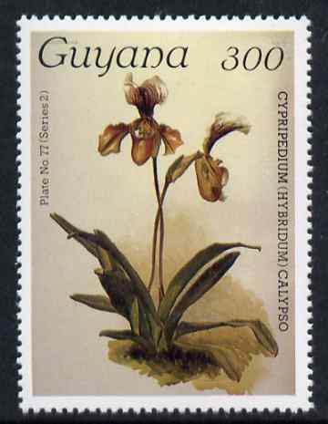 Guyana 1985-89 Orchids Series 2 plate 77 (Sanders' Reichenbachia) 300c unmounted mint, value unlisted by SG*, stamps on orchids, stamps on flowers