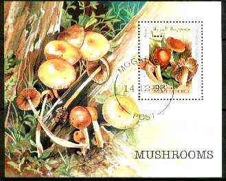 Somalia 1998 Fungi perf m/sheet fine cto used, stamps on fungi