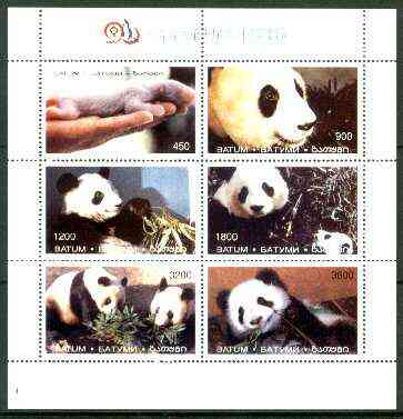 Batum 1996 Giant Pandas sheetlet containing complete set of 6 values unmounted mint, stamps on pandas, stamps on animals, stamps on bears