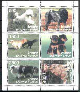 Batum 1999 Dogs sheetlet containing complete set of 6 values unmounted mint, stamps on dogs, stamps on poodle, stamps on retriever, stamps on labrador, stamps on collie