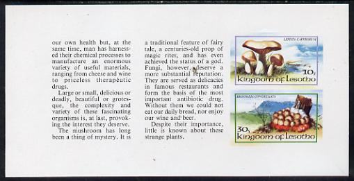 Lesotho 1983 Fungi 10s & 30s values in unmounted mint imperf booklet pane (SG 532c), stamps on fungi