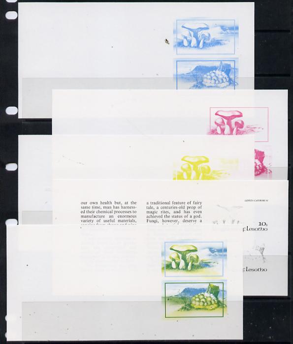 Lesotho 1983 Fungi 10s & 30s values in booklet pane x 5 imperf progressive proofs comprising the 4 individual colours plus yellow & blue, scarce (as SG 532c), stamps on fungi