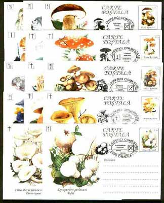 Rumania 1994 Mushrooms complete set of 14 deluxe edition postal stationery cards (30L values) each with 'mushroom' cancellation (Limited edition), stamps on fungi