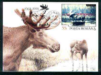 Rumania 1992 Elk 55L (as SG 5484) on maximum card with special illustrated 'Elk' cancellation, stamps on animals, stamps on deer