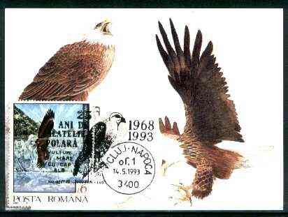 Rumania 1992 American Bald Eagle 6L (as SG 5478) on maximum card with special illustrated Eagle cancellation, stamps on birds, stamps on birds of prey, stamps on eagles