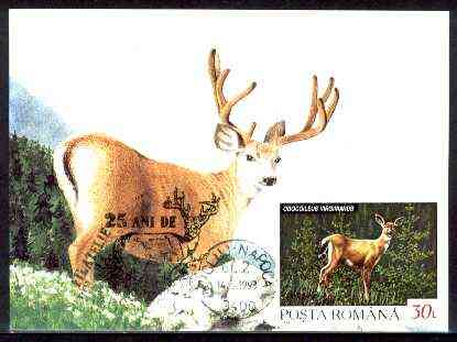 Rumania 1992 White Tailed Deer 30L (as SG 5483) on maximum card with special illustrated 'Deer' cancellation, stamps on animals, stamps on deer
