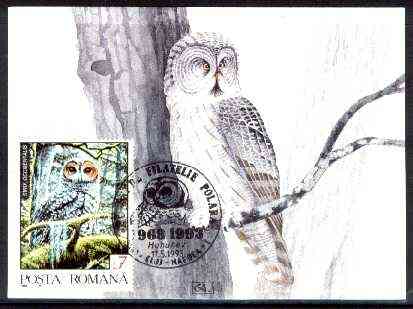 Rumania 1992 Spotted Owl 7L (as SG 5479) on maximum card with special illustrated 'Owl' cancellation, stamps on birds, stamps on birds of prey, stamps on owls