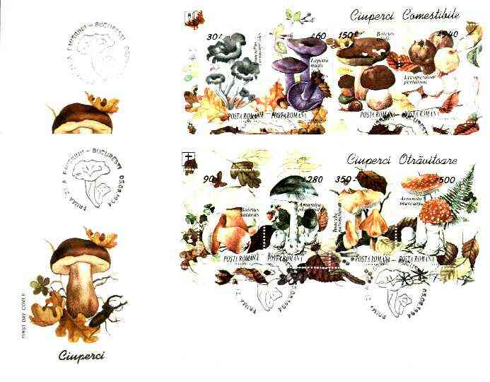 Rumania 1994 Edible and Poisonous Fungi the set of 2 m/sheets, each on illustrated cover with special 'mushroom' first day cancel (as SG MS 5638), stamps on fungi
