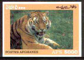 Afghanistan 1999 Tiger imperf m/sheet unmounted mint, stamps on animals, stamps on cats, stamps on tigers