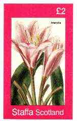 Staffa 1982 Flowers #33 (Pink Amaryllis) imperf deluxe sheet (Â£2 value) unmounted mint, stamps on flowers    