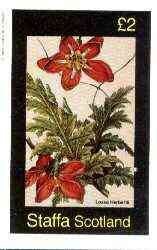 Staffa 1982 Flowers #40 (Loasa) imperf deluxe sheet (Â£2 value) unmounted mint, stamps on flowers