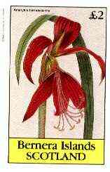 Bernera 1982 Flowers #21 (Amaryllis) imperf deluxe sheet (Â£2 value) unmounted mint, stamps on flowers