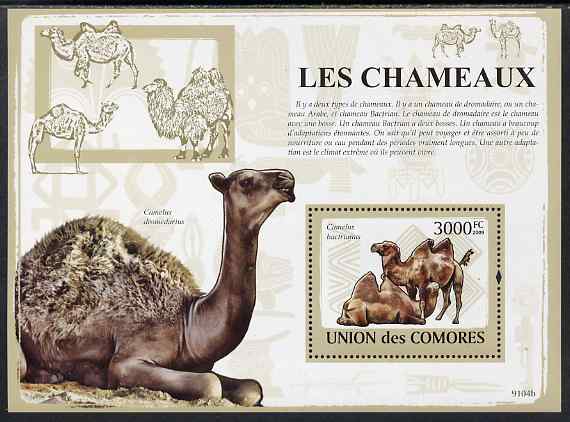 Comoro Islands 2009 Camels perf s/sheet unmounted mint, stamps on , stamps on  stamps on animals, stamps on  stamps on camels