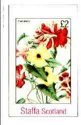Staffa 1982 Flowers #48 (Carnations) imperf deluxe sheet (Â£2 value) unmounted mint, stamps on flowers