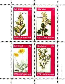 Eynhallow 1982 Flowers #28 (Mimosa, Hermannia x 2 & Othonna) perf set of 4 values unmounted mint, stamps on flowers