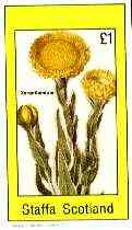 Staffa 1982 Flowers #51 (Xeranthemum) imperf souvenir sheet (Â£1 value) unmounted mint, stamps on flowers