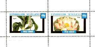 Eynhallow 1982 Flowers #29 (Squill & Bean) perf set of 2 values (40p & 60p) unmounted mint, stamps on flowers