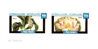 Eynhallow 1982 Flowers #29 (Squill & Bean) imperf set of 2 values (40p & 60p) unmounted mint, stamps on flowers