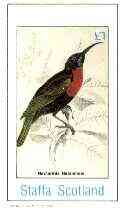 Staffa 1982 Sunbirds (Nectarinia natalensis) imperf souvenir sheet (Â£1 value) unmounted mint, stamps on birds, stamps on sunbirds