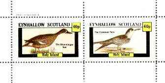 Eynhallow 1982 Birds #27 (Teal & Tern) perf set of 2 values unmounted mint, stamps on birds, stamps on ducks