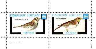Eynhallow 1982 Birds #28 (Snowbird & Lark) perf set of 2 values unmounted mint, stamps on birds   