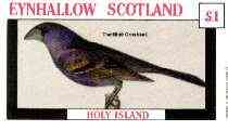 Eynhallow 1982 Birds #31 (Blue Grosbeak) imperf souvenir sheet (Â£1 value) unmounted mint, stamps on birds   