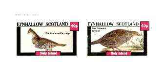 Eynhallow 1982 Game Birds (Partridge & Grouse) imperf set of 2 values unmounted mint, stamps on birds, stamps on game