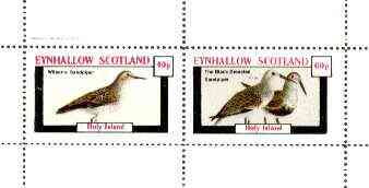 Eynhallow 1982 Birds #34 (Sandpipers) perf set of 2 values unmounted mint, stamps on birds   