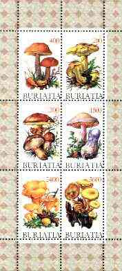 Buriatia Republic 1998 Fungi #01 perf sheetlet containing complete set of 6 values unmounted mint, stamps on fungi