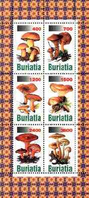 Buriatia Republic 1998 Fungi #02 perf sheetlet containing complete set of 6 values unmounted mint, stamps on , stamps on  stamps on fungi
