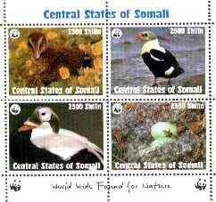 Somalia (Central States) 1998 WWF - Birds sheetlet containing set of 4 unmounted mint, stamps on wwf, stamps on birds, stamps on  wwf , stamps on 