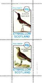 Eynhallow 1982 Birds #38 (Oyster Catcher & Sandpiper) perf set of 2 values unmounted mint, stamps on birds, stamps on oyster catcher, stamps on sandpiper