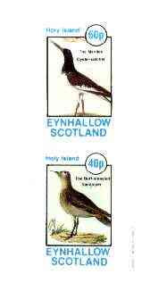Eynhallow 1982 Birds #38 (Oyster Catcher & Sandpiper) imperf set of 2 values unmounted mint, stamps on birds, stamps on oyster catcher, stamps on sandpiper