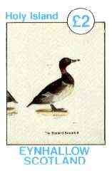 Eynhallow 1982 Birds #38 (Broadbill) imperf deluxe sheet (Â£2 value) unmounted mint, stamps on birds, stamps on broadbill