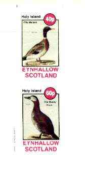 Eynhallow 1982 Birds #39 (Mallard & Ruddy Duck) imperf set of 2 values unmounted mint, stamps on birds, stamps on mallard, stamps on ducks