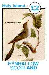 Eynhallow 1982 Birds #13 (Yellow-billed Cuckoo) imperf deluxe sheet (Â£2 value) unmounted mint, stamps on birds, stamps on cuckoo