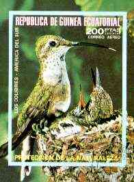 Equatorial Guinea 1974 South American Birds (200p) imperf m/sheet fine cto used, MI BL 149, stamps on birds