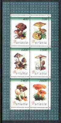 Buriatia Republic 1998 Fungi #04 perf sheetlet containing complete set of 6 values unmounted mint, stamps on fungi