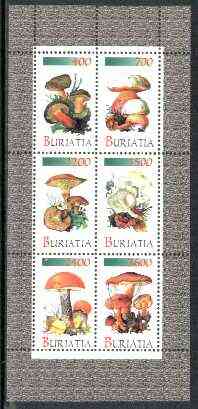 Buriatia Republic 1998 Fungi #05 perf sheetlet containing complete set of 6 values unmounted mint, stamps on fungi