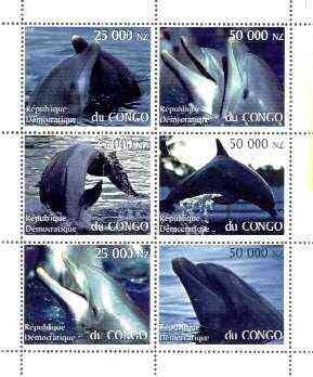 Congo 1997 Dolphins perf sheetlet containing complete set of 6 values unmounted mint, stamps on , stamps on  stamps on animals, stamps on marine life, stamps on whales