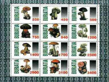 Buriatia Republic 1998 Fungi #07 perf sheetlet containing complete set of 12 values unmounted mint, stamps on , stamps on  stamps on fungi