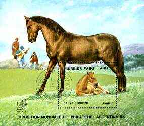 Burkina Faso 1985 Argentina 85 Stamp Exhibition perf m/sheet (Horse & Foal) fine cto used SG MS 808, stamps on horses, stamps on guitar, stamps on stamp exhibitions