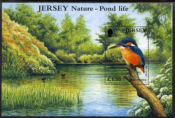 Jersey 2001 Europa - Pond Life perf m/sheet showing Kingfisher, unmounted mint SG MS997, stamps on birds, stamps on kingfishers, stamps on europa