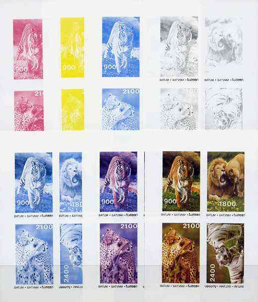 Batum 1995 Big Cats sheet containing complete set of 4, the set of 7 imperf progressive colour proofs comprising the 4 individual colours plus 2, 3 and all 4-colour composites unmounted mint, stamps on animals, stamps on cats, stamps on tigers, stamps on lions, stamps on 