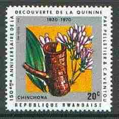 Rwanda 1970 Cinchona Bark (Quinine) 20c unmounted mint SG 377*, stamps on medical, stamps on diseases