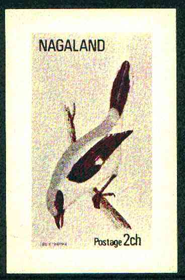 Nagaland 1972 Grey Shrike imperf souvenir sheet (2ch value) unmounted mint, stamps on birds, stamps on shrike
