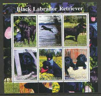 Turkmenistan 2000 Black labrador Retriever Dogs perf sheetlet containing set of 6 values  unmounted mint, stamps on dogs, stamps on labrador, stamps on retrievers