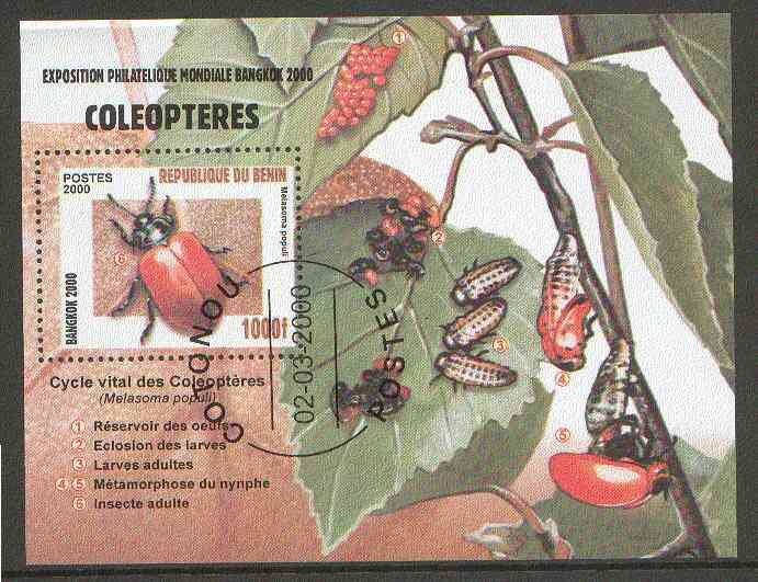 Benin 2000 Insects (Bangkok 2000 Stamp Exhibition) perf m/sheet fine cto used, stamps on insects, stamps on stamp exhibitions