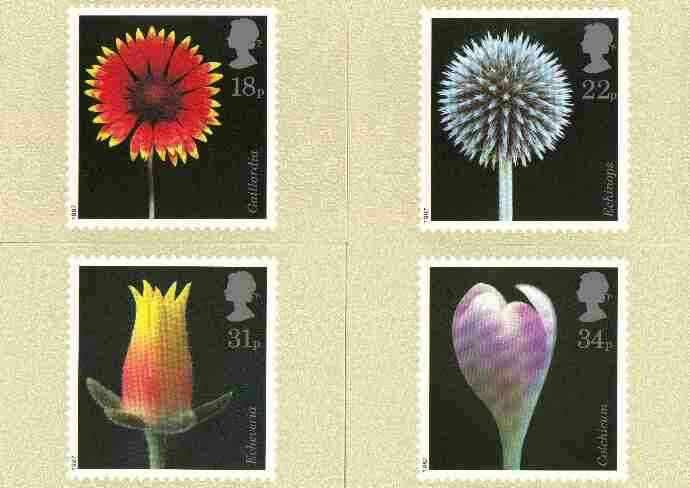 Great Britain 1987 Flower Photographs set of 4 PHQ cards unused and pristine, stamps on flowers, stamps on photography